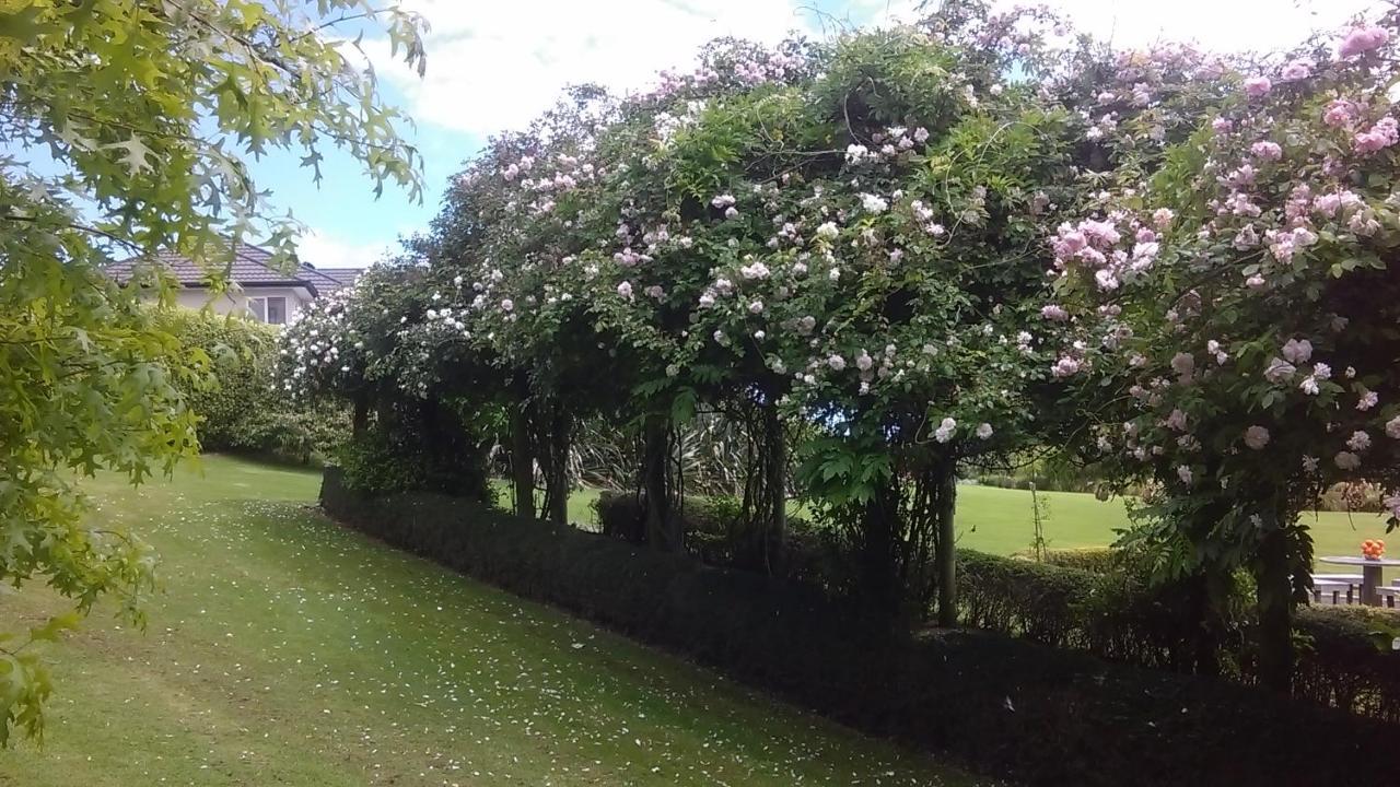 Shurinji Whanganui Luaran gambar